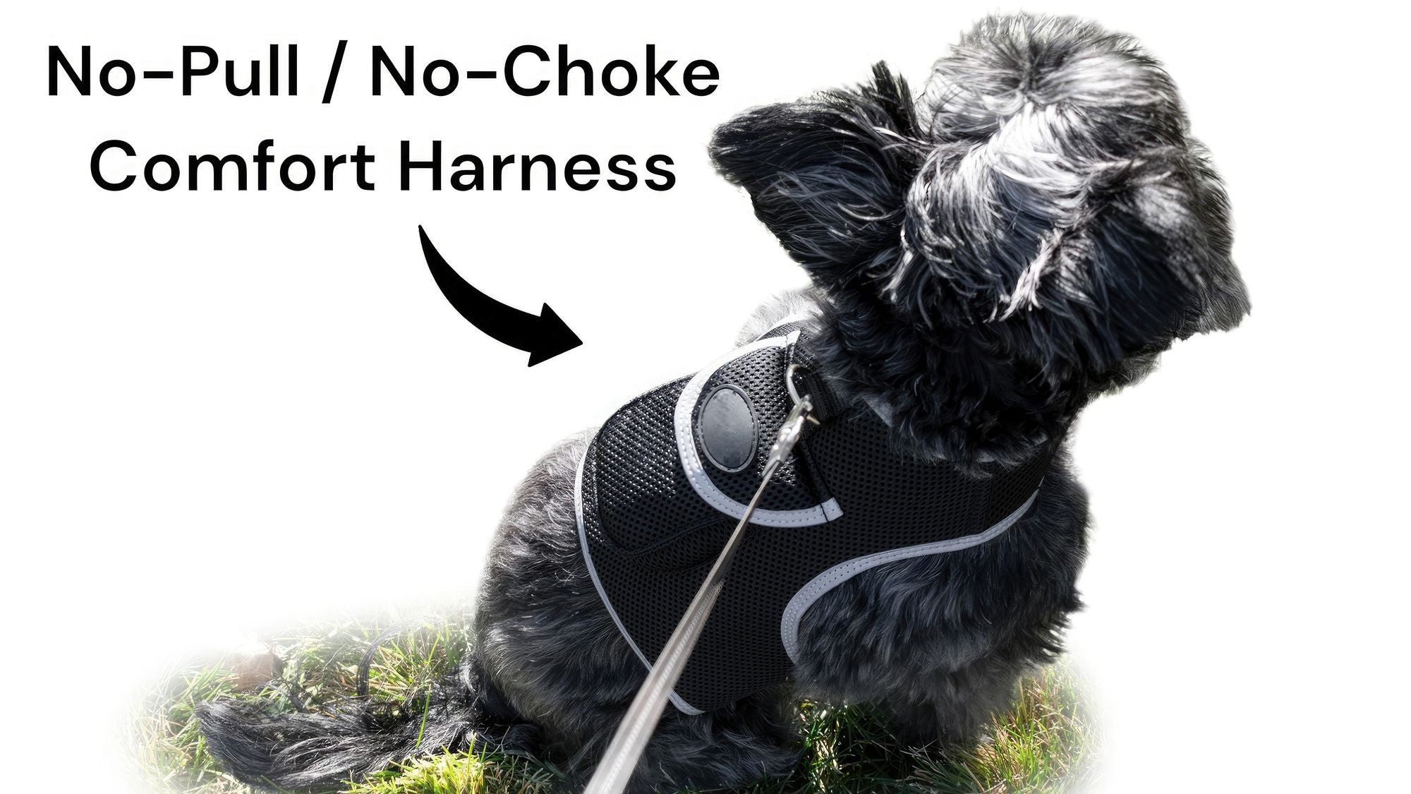 529867651